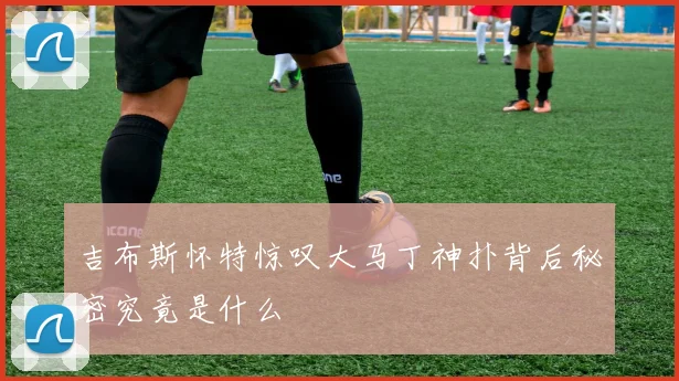 吉布斯怀特惊叹大马丁神扑背后秘密究竟是什么